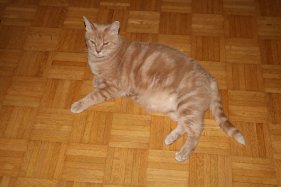 DK*Breath-Taking's Dorthea