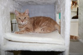 DK*Breath-Taking's Dorthea